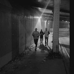 Chapter 2 Brewery Run/Walk hero image