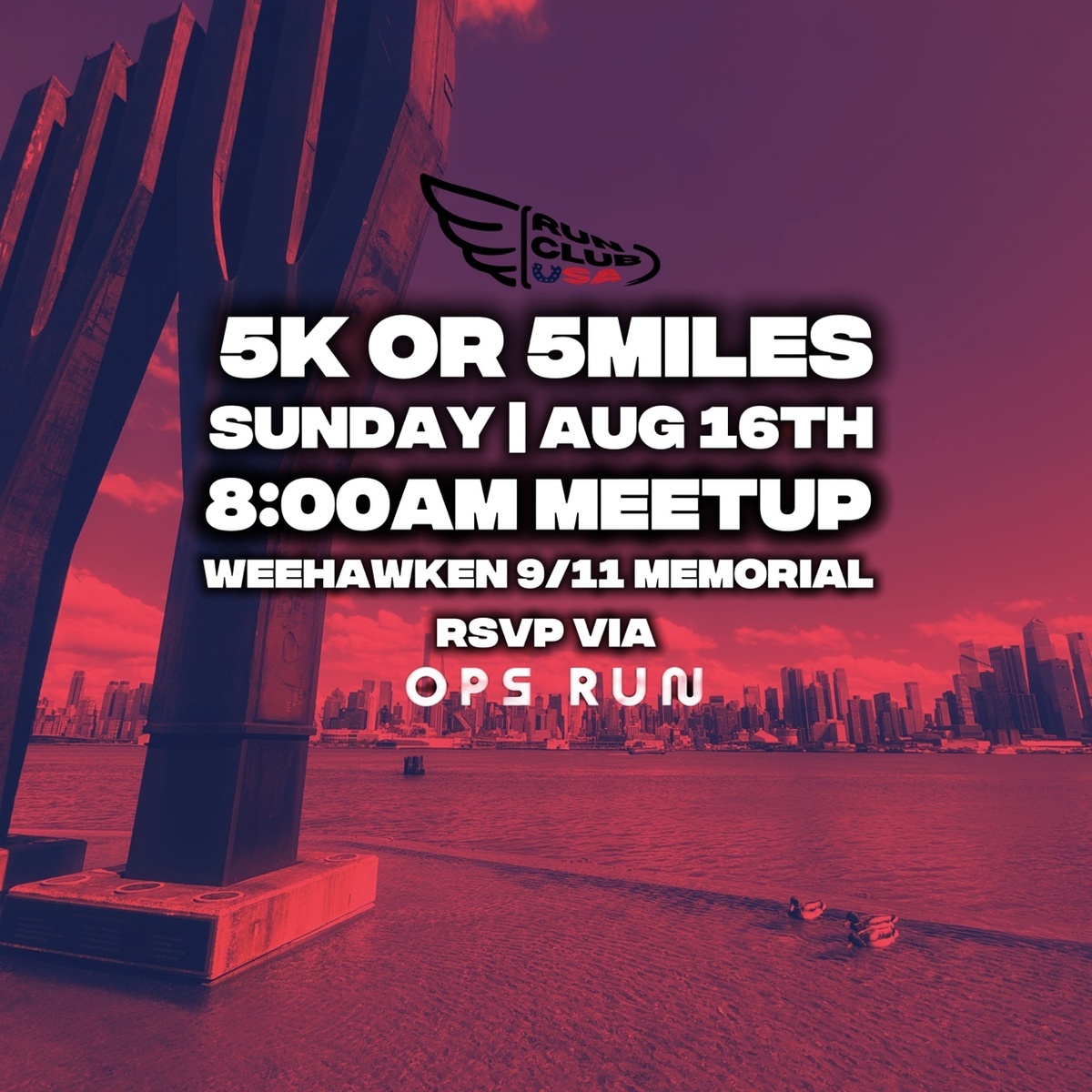 5k or 5Miles hero image